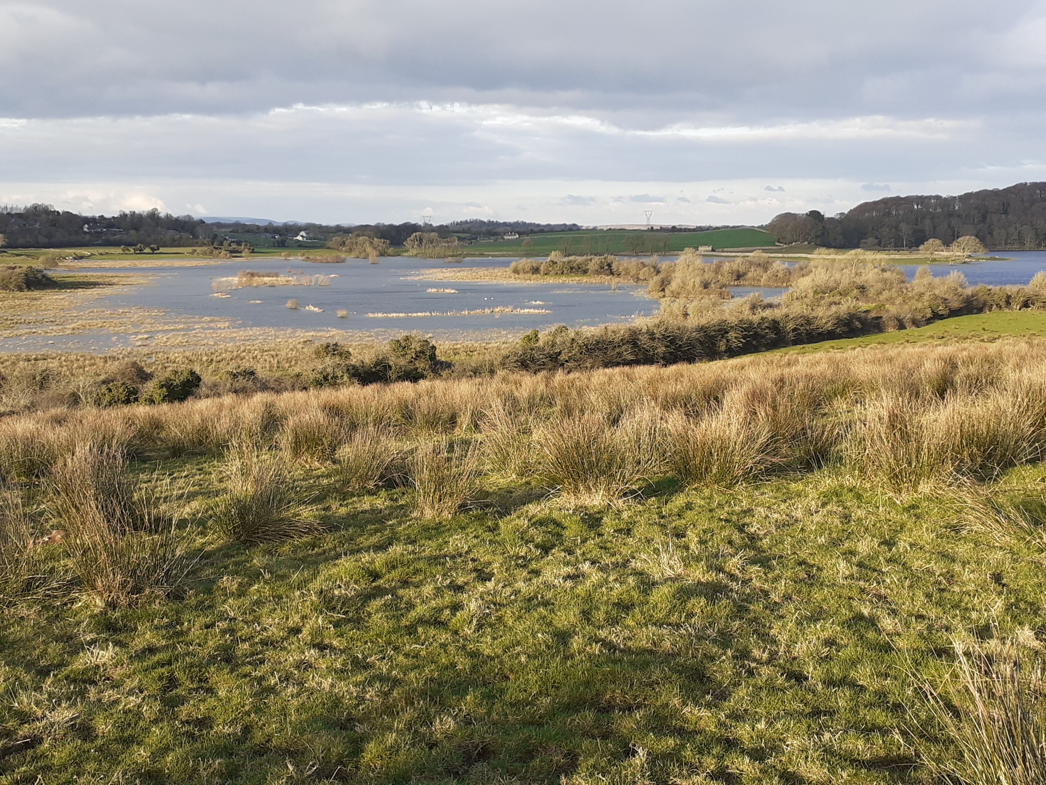 Ballyallia Lake in winter